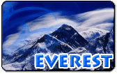 Everest Calling Card