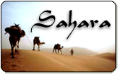 Sahara Calling Card