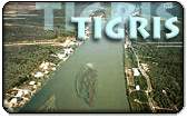 Tigris Calling Card